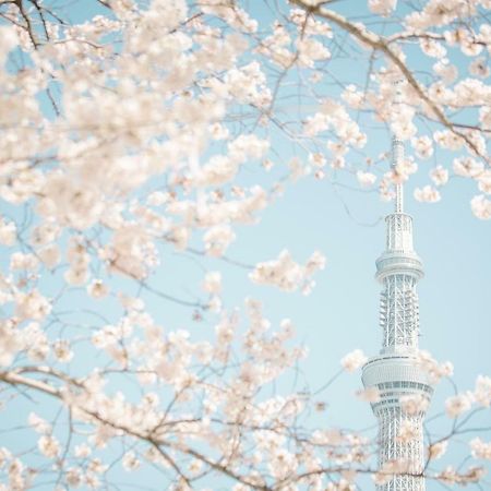 Hotel Ichigaya（Jr Ichigaya Sta.) Токио Экстерьер фото