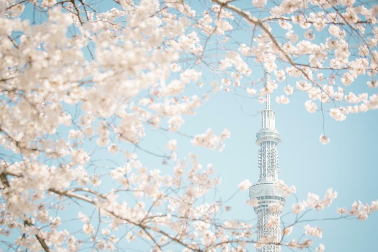 Hotel Ichigaya（Jr Ichigaya Sta.) Токио Экстерьер фото